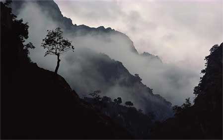 Misty_Mountains.jpg
